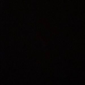 Meet your Posher, Ninva